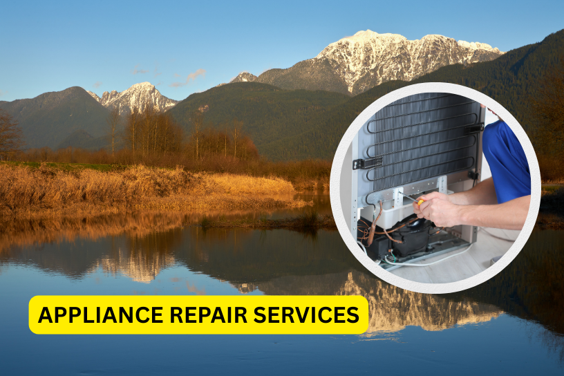appliance-repair-pitt-meadows