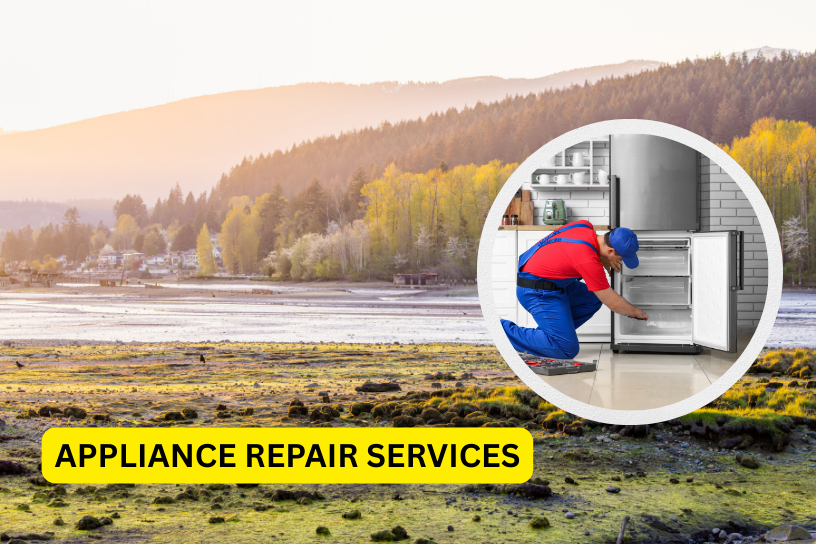 appliance-repair-port-moody